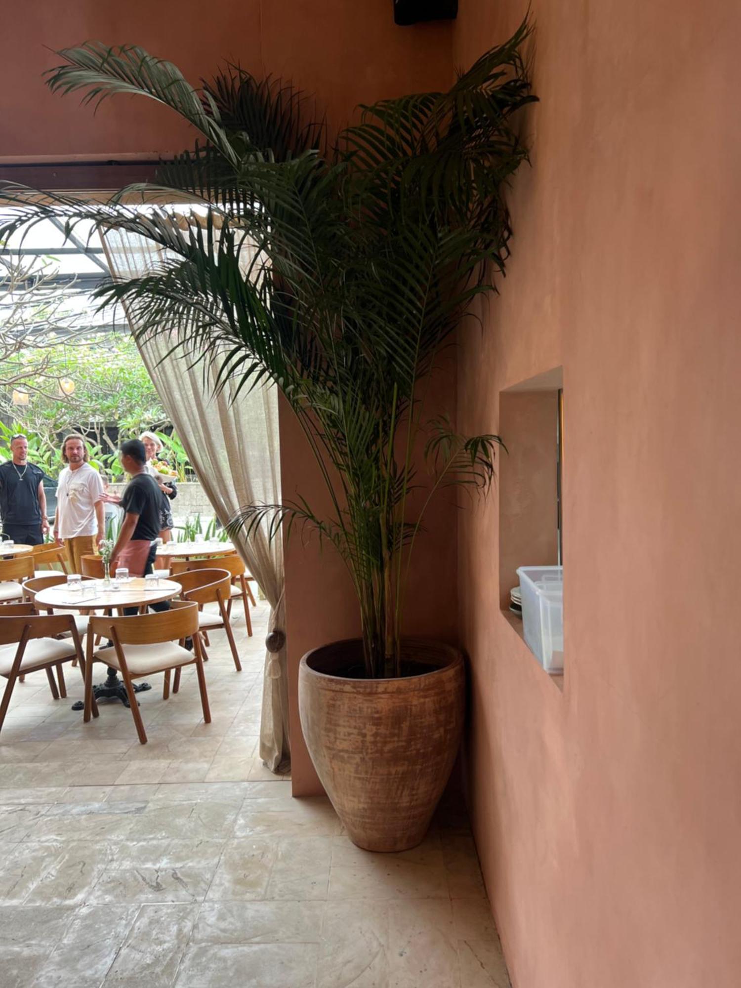 Grass Terrace Homestay Canggu Eksteriør bilde
