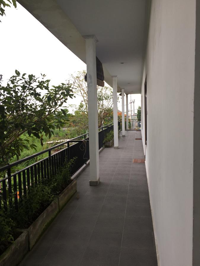Grass Terrace Homestay Canggu Eksteriør bilde